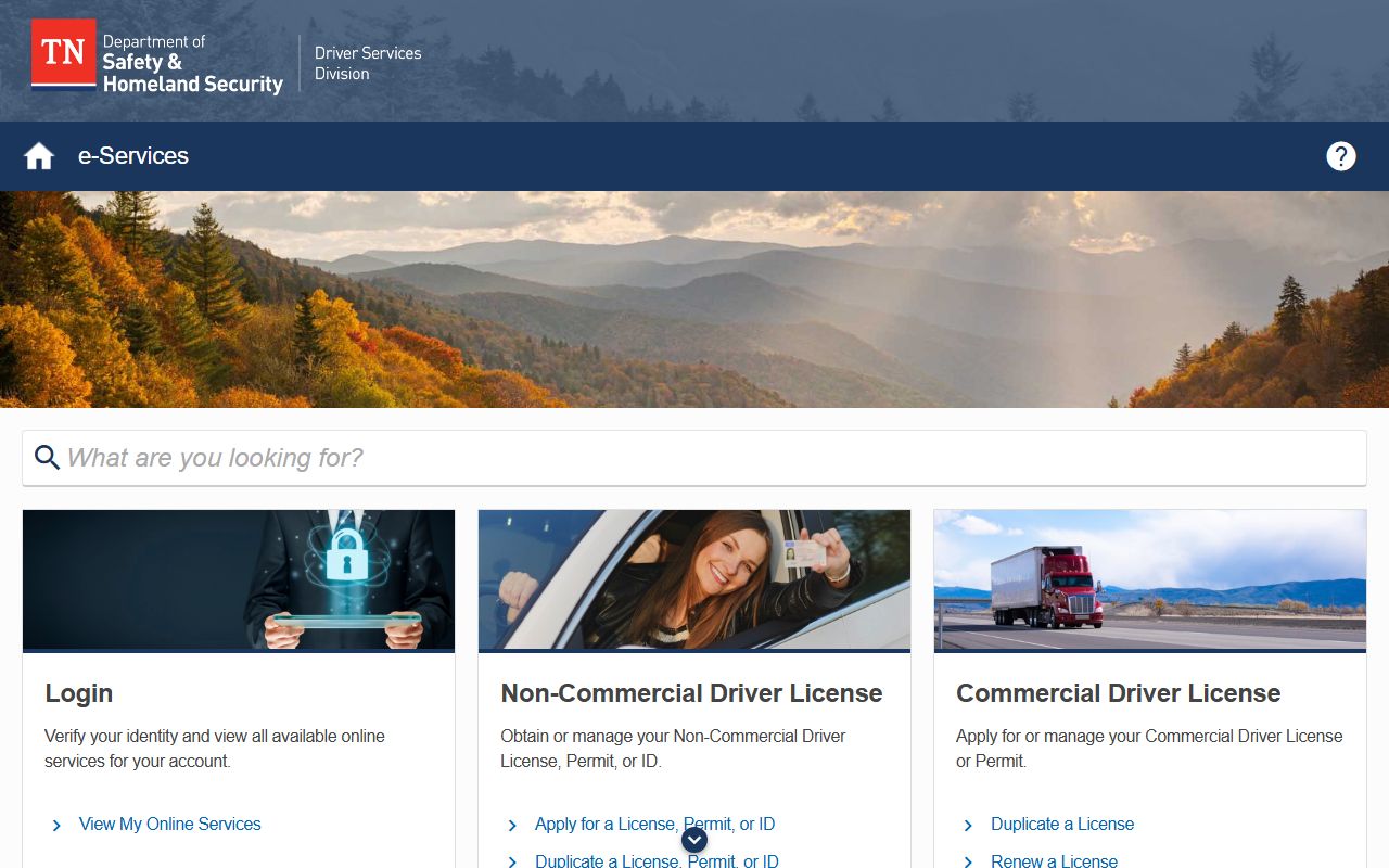 Tennessee Driver Services online portal compared with Williamson County traffic court records